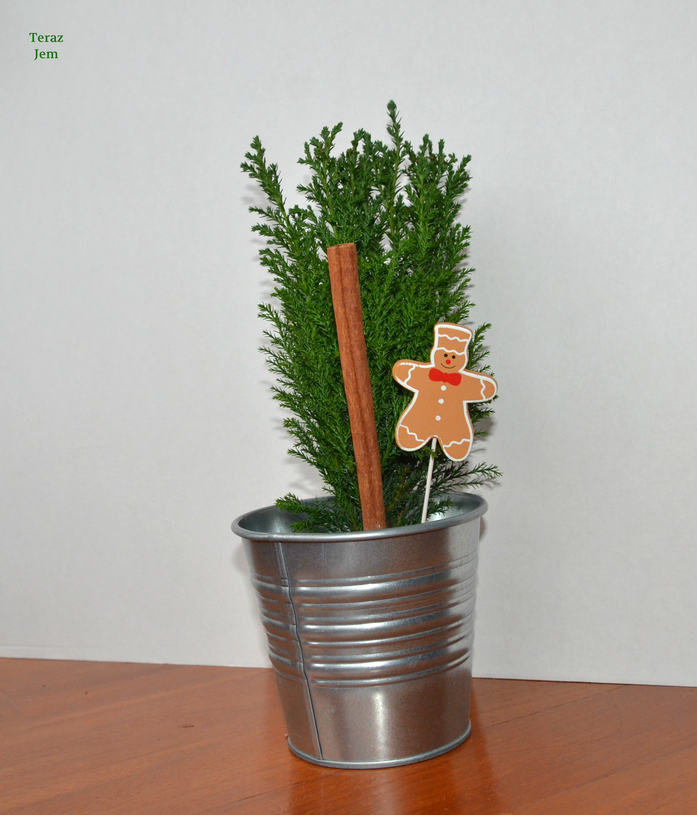 stroik 13